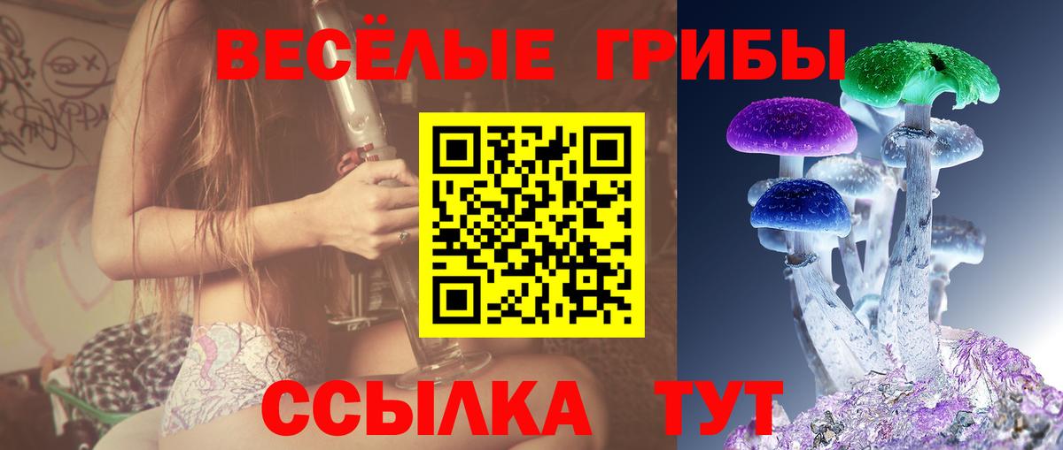 Псилоцибиновые грибы Psilocybine cubensis  где продают   Михайловск  Вход с VPN  Псилоцибиновые грибы GOLDEN TEACHER 